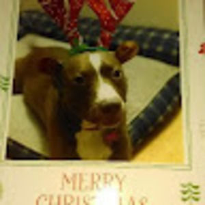 Meet your Posher, Esperanza